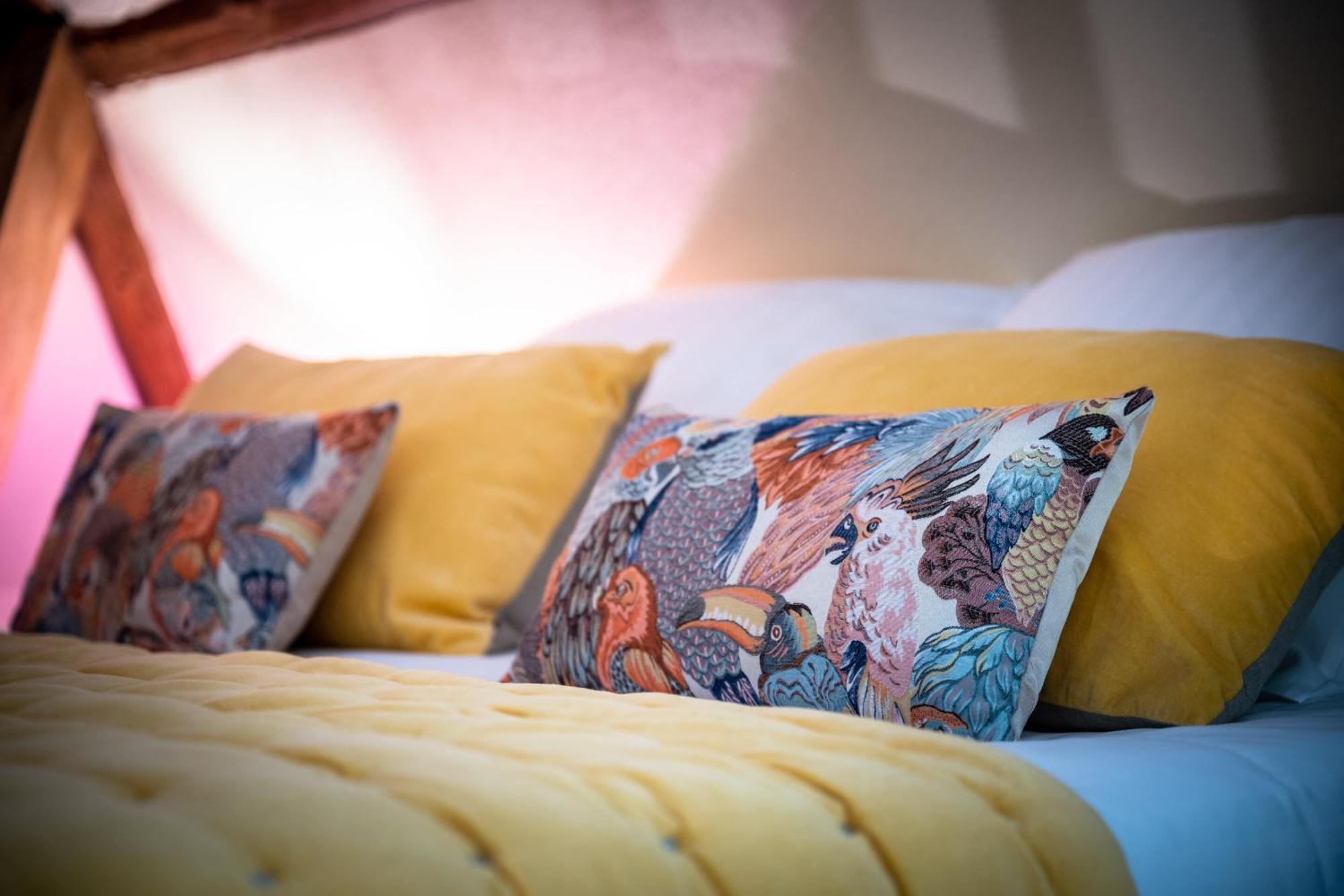 La Dominotte Bed & Breakfast Demigny ห้อง รูปภาพ
